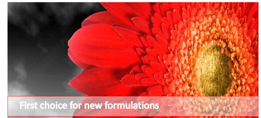 Pigment fundamentals — definitions, classification, history and brand portfolio